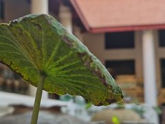 -曼谷国家博物馆