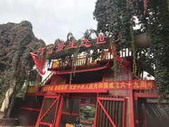 -黄河富景生态世界