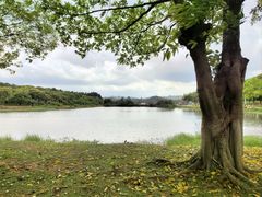 -松山湖风景区松湖烟雨