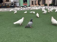 -华谊兄弟（长沙）电影小镇