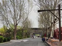 -南宫五洲植物乐园