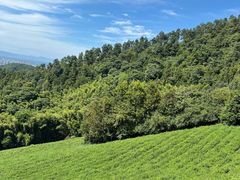 -敬亭山风景名胜区