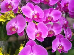 -南通洲际绿博园