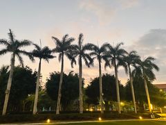 -三亚海棠湾万丽度假酒店