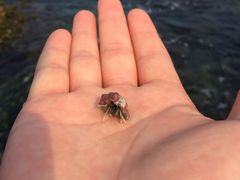 -白沙湾海滩
