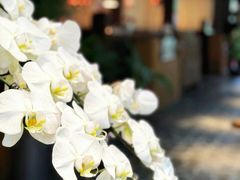 -风渡嘉荷·美式西餐·牛排(西三旗金隅店)