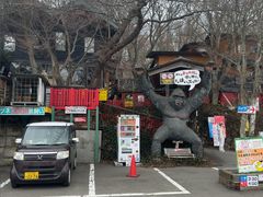 -宫城藏王狐狸村