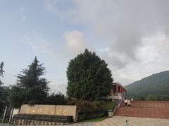 -铁山坪森林公园