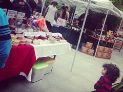 iphone_upload_pic-嘉善老市