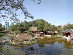 -顺峰山公园
