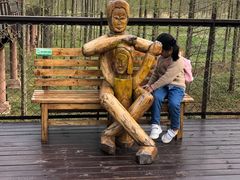 -黄海国家森林公园