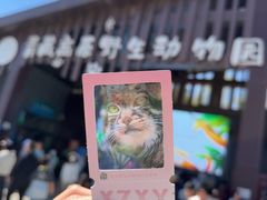 -青藏高原野生动物园