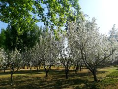 -野鸭湖国家湿地公园