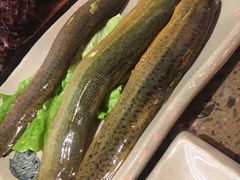 -渝大狮毛肚老火锅(文峰城市广场店)