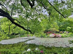 -杭州植物园