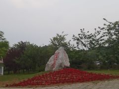 -金石滩蓝莓谷庄园