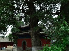 -大觉寺-停车场