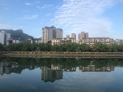 -鹏林天龙鸡杂