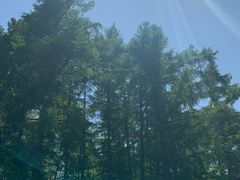 -长春市南湖公园