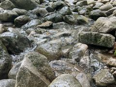 -陕西省红河谷森林公园