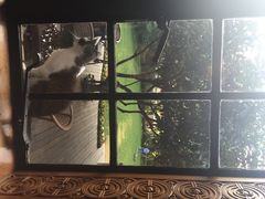 衡山马勒别墅饭店-马勒别墅饭店(静安寺店)