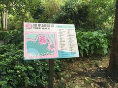-九龙公园