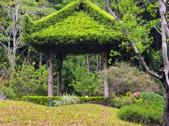 -云溪植物园