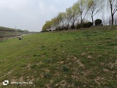 -洨河生态公园