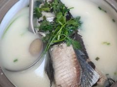 -天乐农家鱼头王(天目湖店)