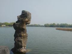 -洛阳市隋唐城遗址植物园