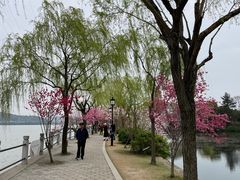-无锡蠡湖国家湿地公园-蠡园
