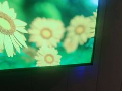 -渝富桥(西博苑店)