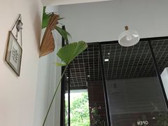 -猫里有甜