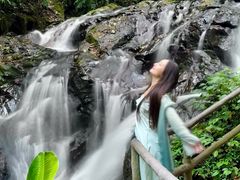 -莫里热带雨林景区