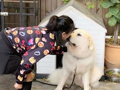 -more than meow吴止猫主题餐厅(承德 中船汇店)