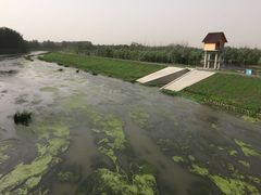 -东郊湿地公园