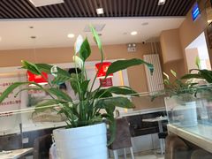 -嘉和一品粥(天秀店)