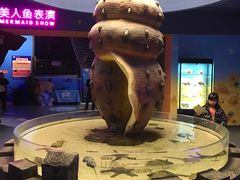 -石家庄海洋公园