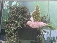-方快-照相馆(晶耀前滩店)