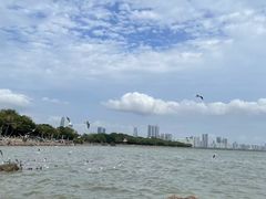 -红树湾(地铁站)