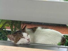 -广州天河城购物中心