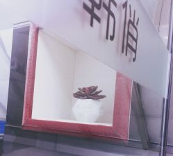 -HQ半永久纹绣纹眉