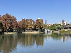 -四海公园(南山区)