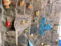 -青岛海底世界-水族馆
