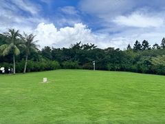 -深圳湾公园(南山区)