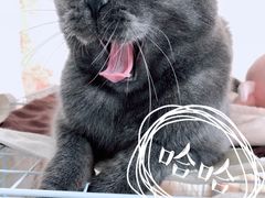 -爱侣宠医·鹦鹉专科·小型哺乳类·异宠专科(灵石路店)