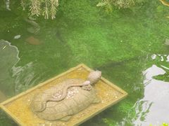 -泮溪酒家(荔枝湾店)