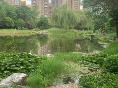 -木塔寺遗址生态公园