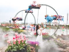-荷兰花海