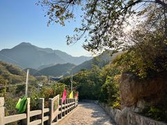 -大岭沟猕猴桃谷风景区